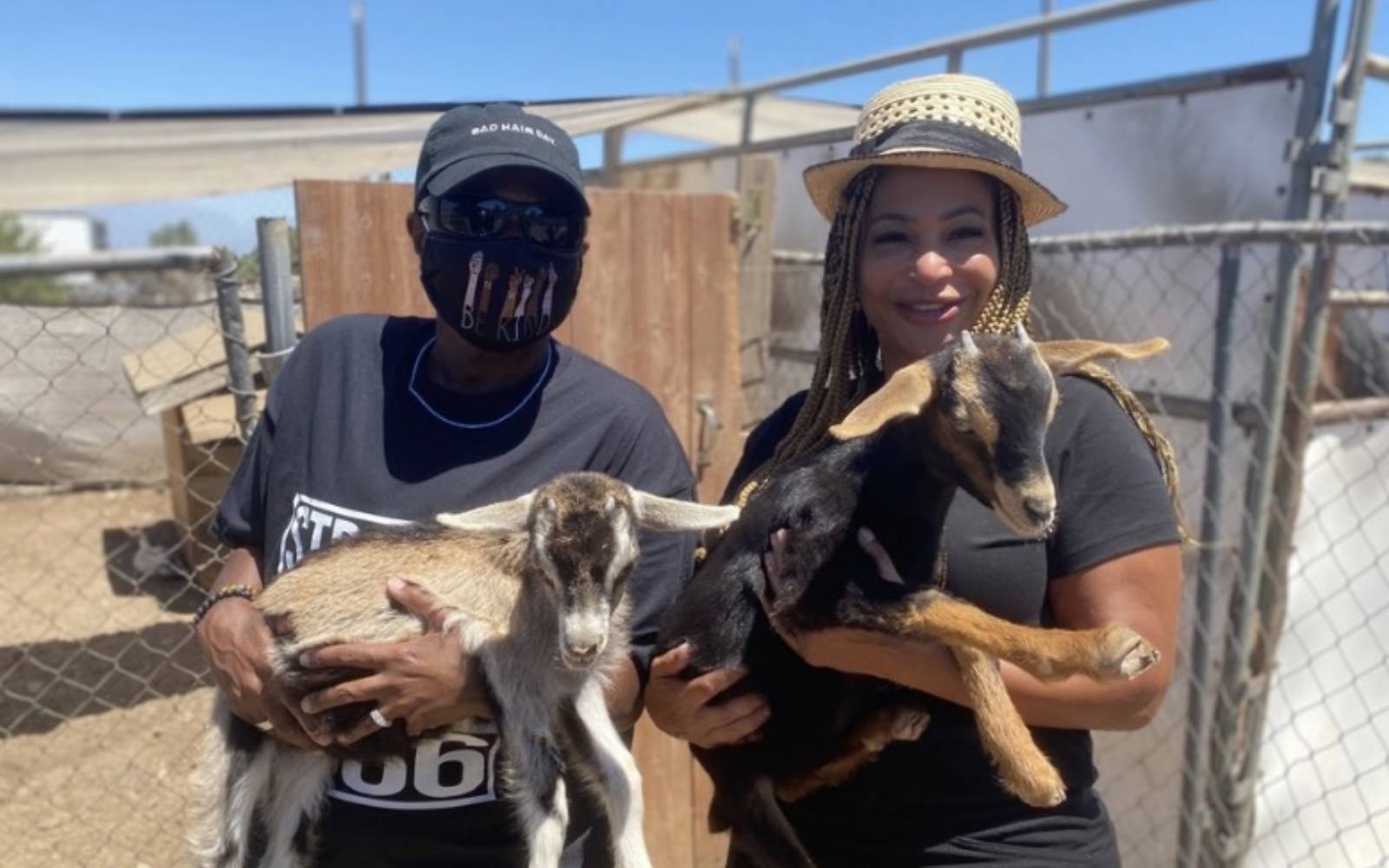 Petting Zoo
