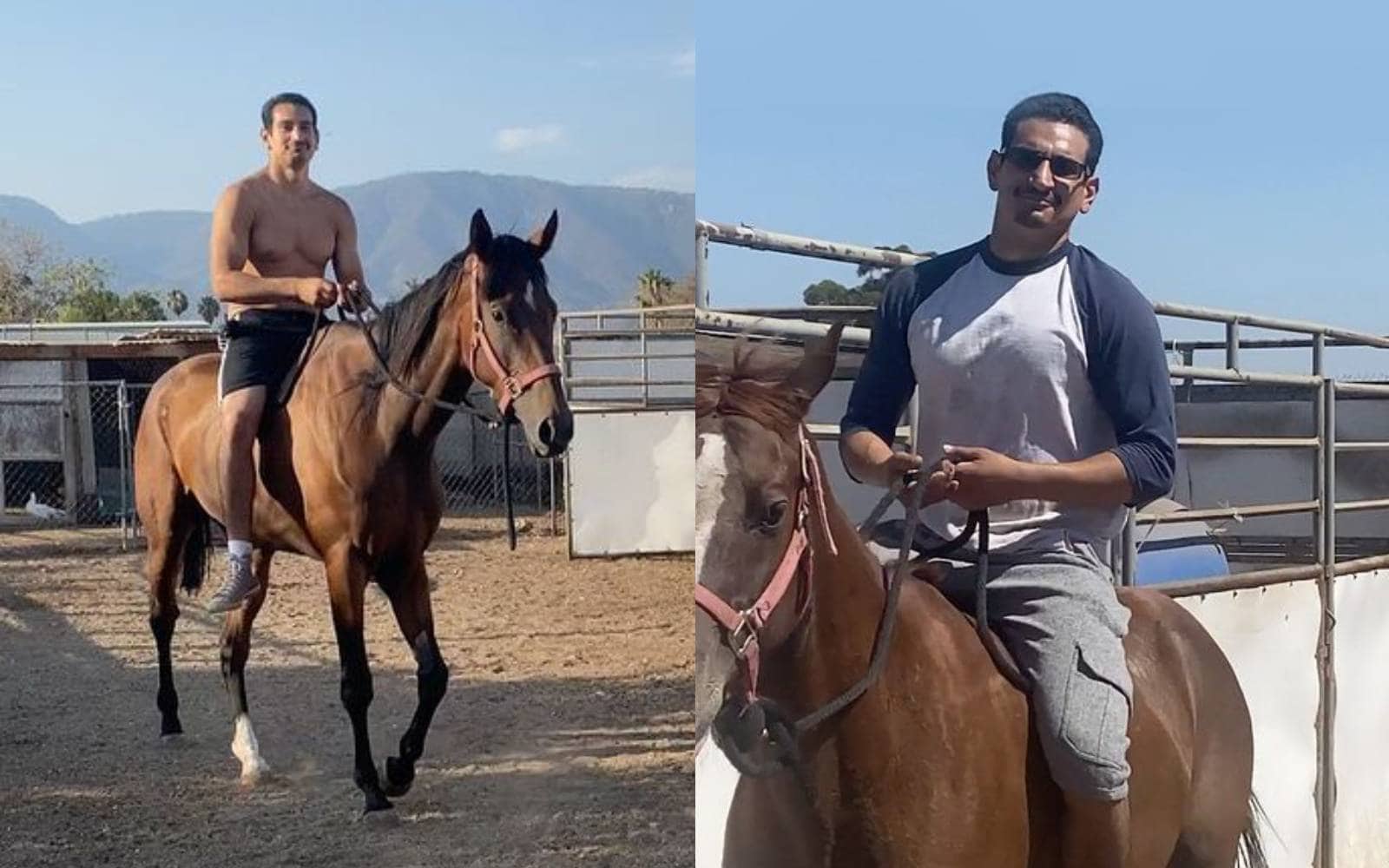 Horseback Riding